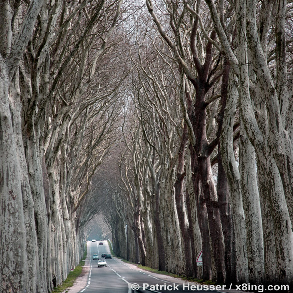 a long avenue somwhere in france
